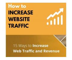 I will increase traffic and profitability of the site