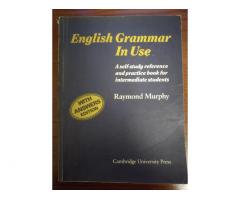 Английская грамматика в использовании — Путь к владению английской грамматикой