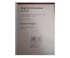 Английская грамматика в использовании — Путь к владению английской грамматикой