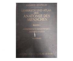 Учебник и Атлас анатомии человека в 3 томах (1939 год) — Уникальное издание для изучения тела челове