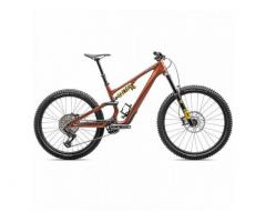 2025 Specialized Stumpjumper 15 Ohlins Coil Mountain Bike (ZONACYCLES)