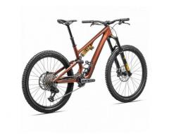 2025 Specialized Stumpjumper 15 Ohlins Coil Mountain Bike (ZONACYCLES)