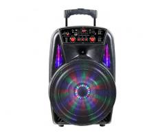 Акустическая система Bluetooth Trolley Speaker CH-8613