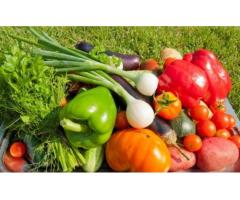 Фитогормони Регулятори роста растений