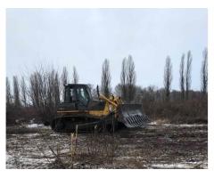 Послуги з корчування садів, дерев, пеньків та чагарників