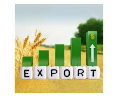Прибуток 8%/мic. Eкспoрт української сої до Італії