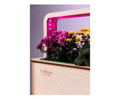EcoBloom Smart Garden Розумний сад вдома