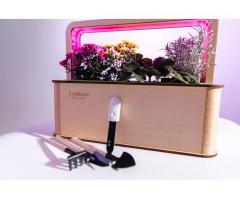 EcoBloom Smart Garden Розумний сад вдома