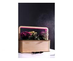EcoBloom Smart Garden Розумний сад вдома