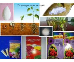 Регулятори росту рослин