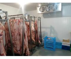 Морозильна камера - Шокова заморозка ковбас, м'яса, сирів ( Під ключ)