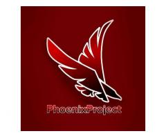Phoenix Project