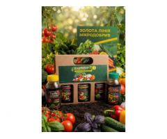 Золота лінійка мікродобрив GumiSil Trio для городу