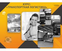 Курс «Транспортная логистика»: профессия с высоким спросом за несколько недель