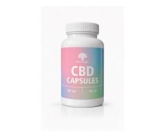 CBD капсулы 25 мг — премиум-поддержка баланса и спокойствия