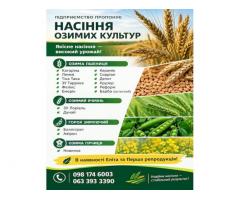 Насіння озимих культур. Еліта та 1-ша репродукція!
