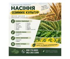 Посівний матеріал озимих культур: Еліта та Перша репродукція